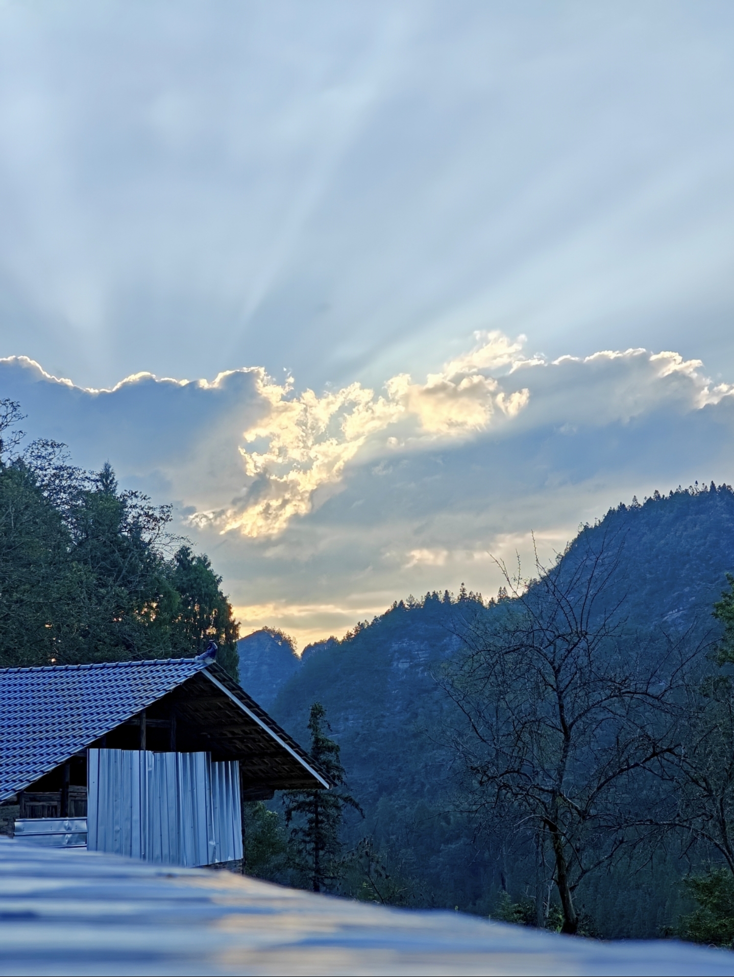 小王先森： 收拾行囊，回城。