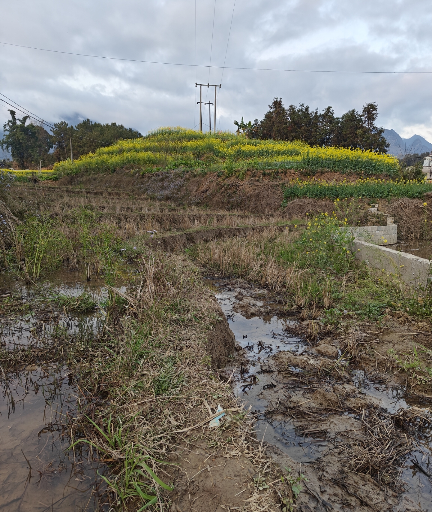 小王先森： [我的音乐]一首怀旧音乐《眺望》上线了！！！